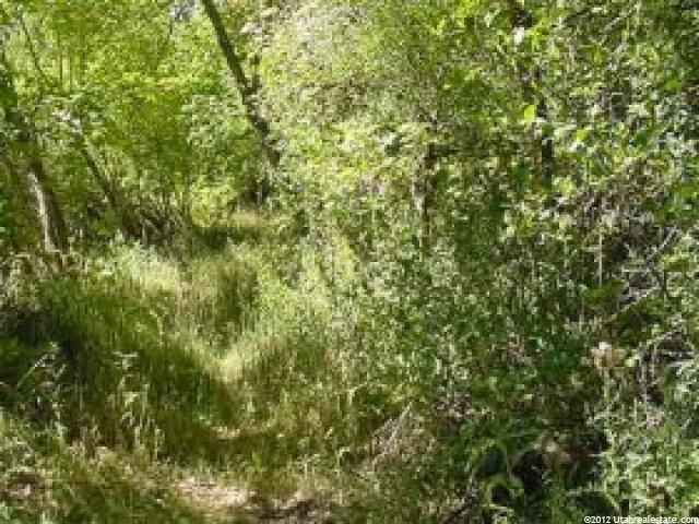 11361 N 2000 E, Richmond, UT 84333 — photo 2