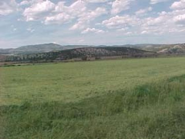 1401 Hwy 89, Fairview, UT 84629 — photo 7