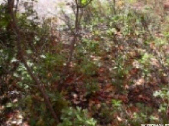 66 Shadey Ln, Wanship, UT 84017 — photo 2