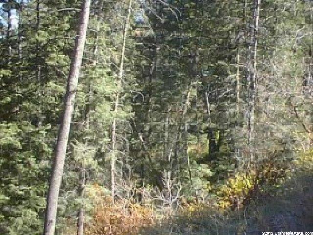 475 Parkview Dr #13, Park City, UT 84098 — photo 4