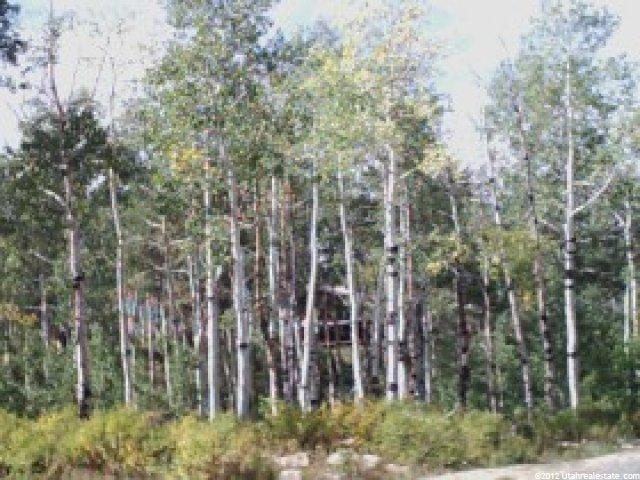 17500 E 25500 N #28, Fairview, UT 84629 — photo 2