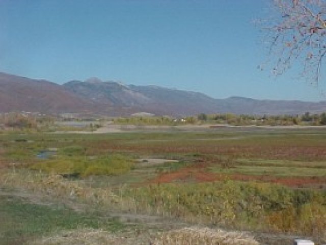 7238 E Hwy 39, Huntsville, UT 84317 — photo 5