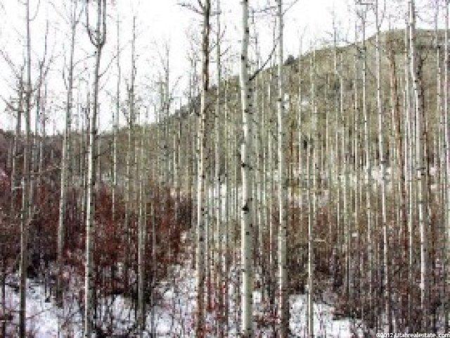 14 Canyon Ct, Park City, UT 84060 — photo 8
