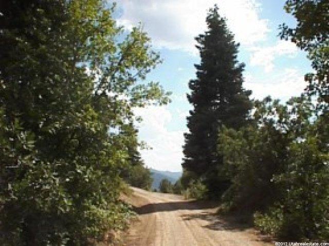 1231 S North Fork Rd #1232, Fairview, UT 84629 — photo 2