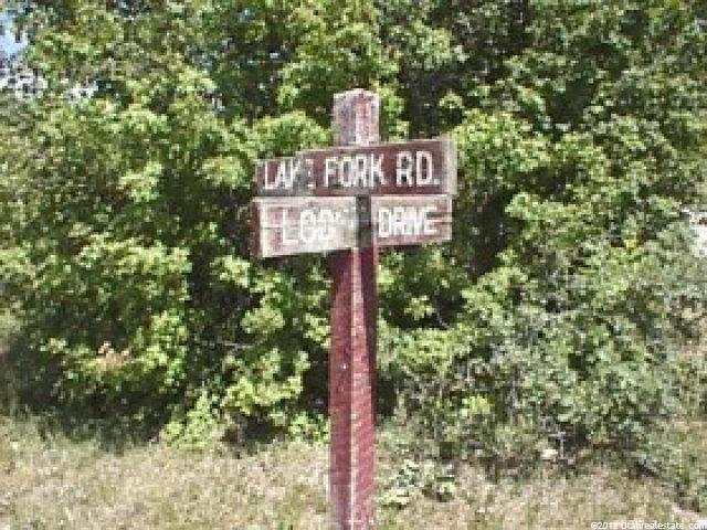 1231 S North Fork Rd #1232, Fairview, UT 84629 — photo 3