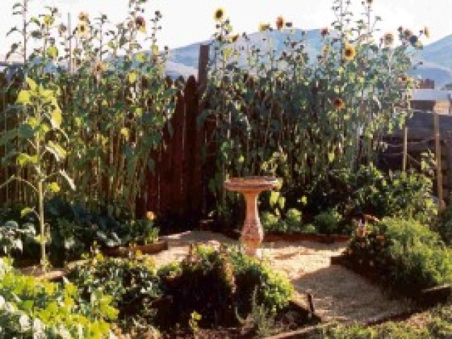 4196 N Mill Race Rd, Oakley, UT 84055 — photo 7