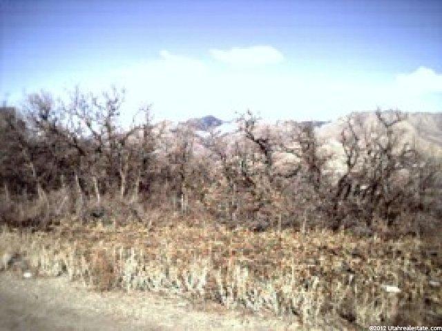 2403 Panorama Cir #34, Liberty, UT 84310 — photo 4
