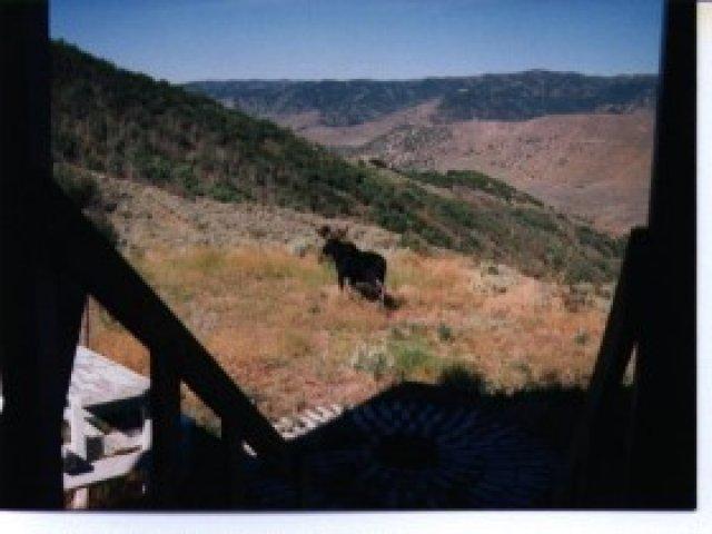18 Echo Creek Ests, Echo, UT 84024 — photo 7