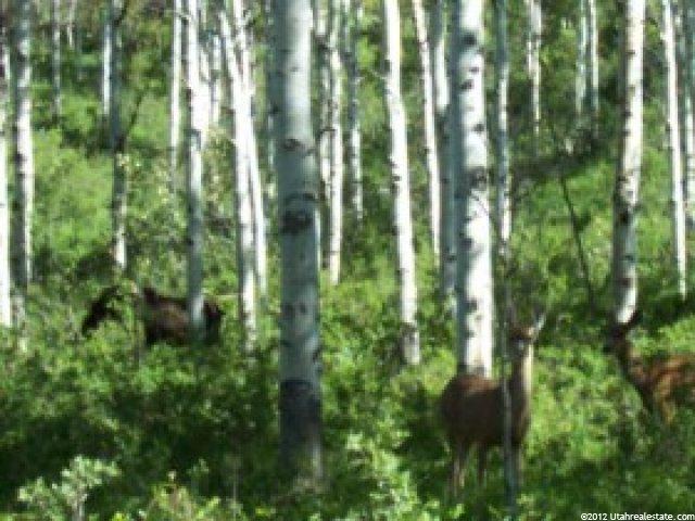 126 Aspen Mtn #126, Oakley, UT 84055 — photo 2