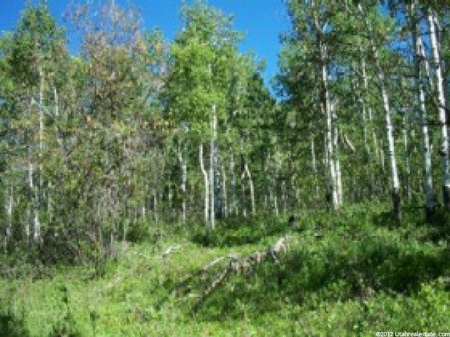 126 Aspen Mtn #126, Oakley, UT 84055 — photo 3