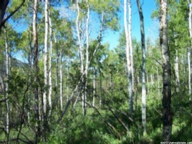126 Aspen Mtn #126, Oakley, UT 84055 — photo 4