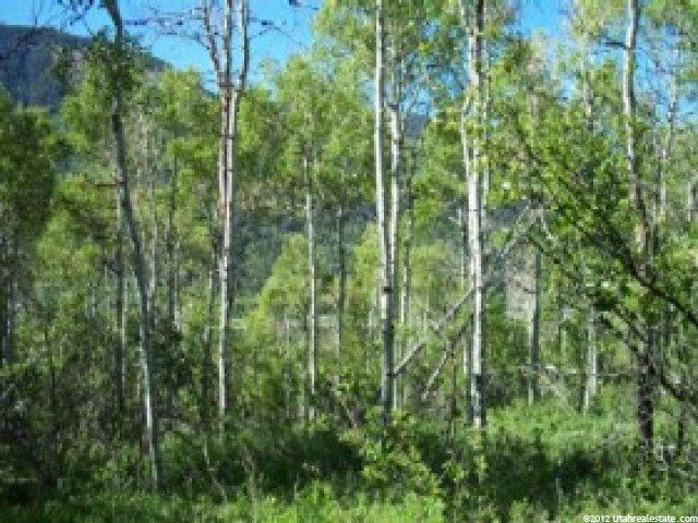 126 Aspen Mtn #126, Oakley, UT 84055 — photo 5