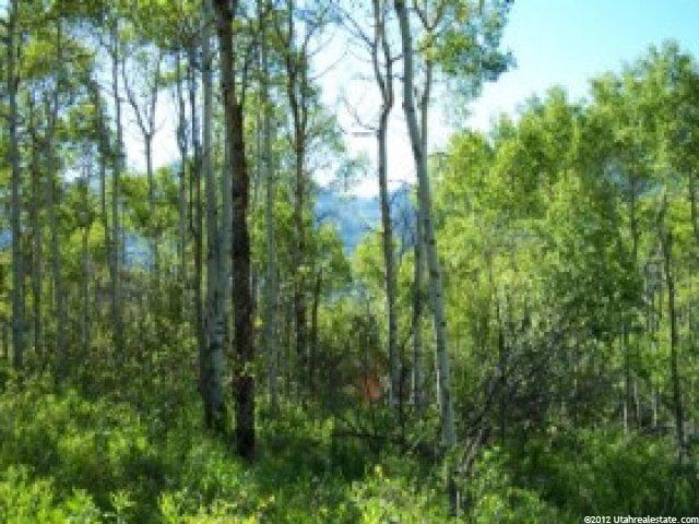 126 Aspen Mtn #126, Oakley, UT 84055 — photo 6