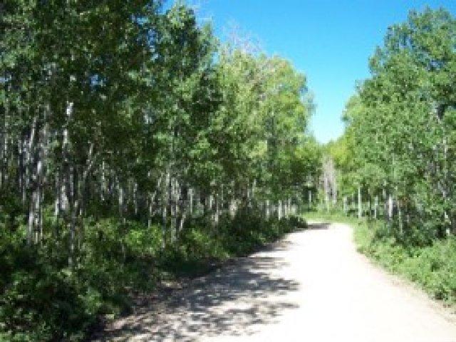 126 Aspen Mtn #126, Oakley, UT 84055 — photo 7