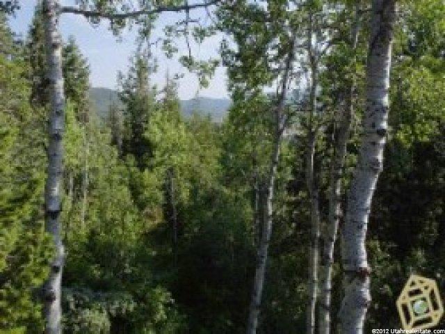 195 Matterhorn Dr, Park City, UT 84098 — photo 8
