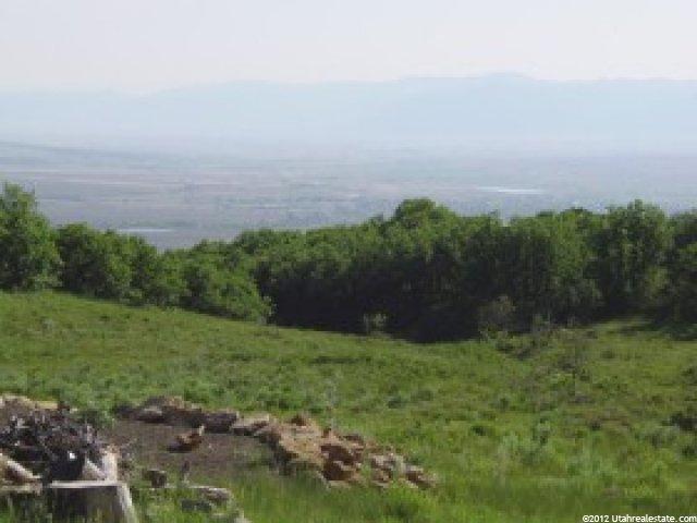 527 E Park Dr #1232, Fairview, UT 84629 — photo 3