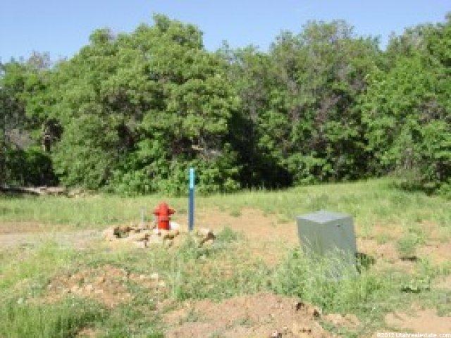 527 E Park Dr #1232, Fairview, UT 84629 — photo 4