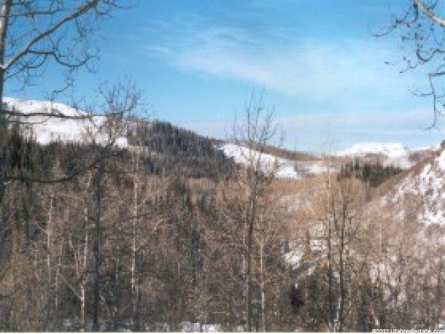 1876 Blue Spruce Way, Wasatch County, UT 84032 — photo 4