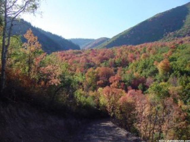 1600 W Valley Rd #353, Midway, UT 84049 — photo 2
