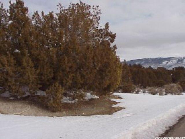 10000 Hilltop Rd, Fairview, UT 84629 — photo 3