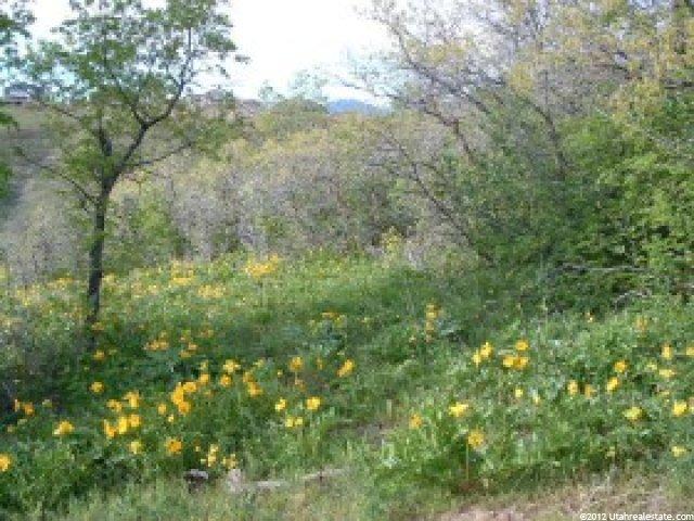 3902 S Mountain Oaks Dr #305, Bountiful, UT 84010 — photo 4