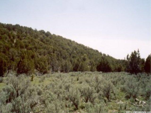 212 Dog Vly, Nephi, UT 84648 — photo 2