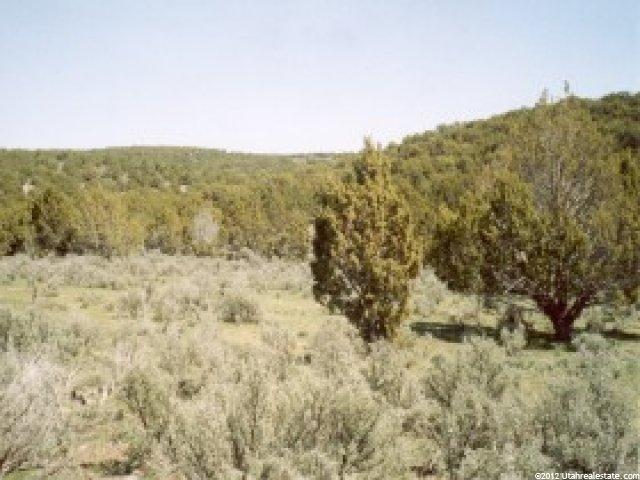 212 Dog Vly, Nephi, UT 84648 — photo 3