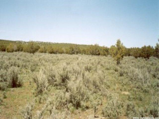 212 Dog Vly, Nephi, UT 84648 — photo 5