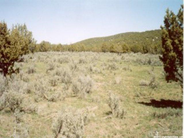 212 Dog Vly, Nephi, UT 84648 — photo 6