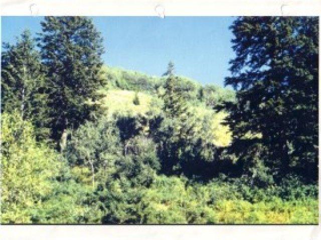 12500 E 5400 N, Huntsville, UT 84317 — photo 2