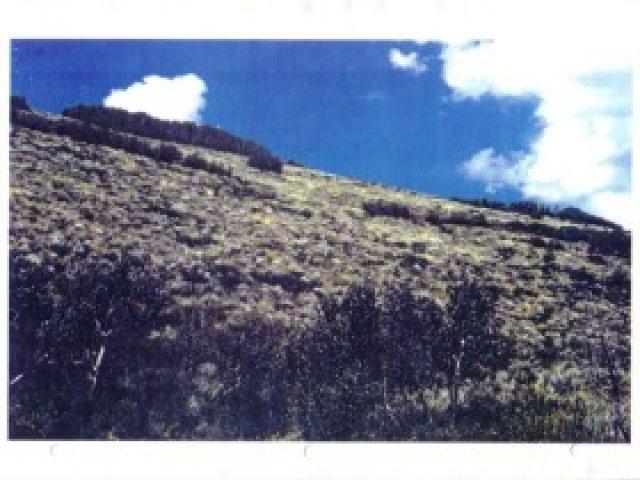 12500 E 5400 N, Huntsville, UT 84317 — photo 3