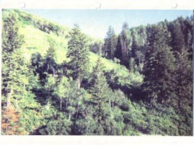 12500 E 5400 N, Huntsville, UT 84317 — photo 4