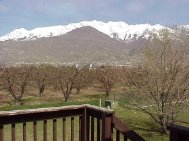 276 W 1310 N, Orem, UT 84057 — photo 6