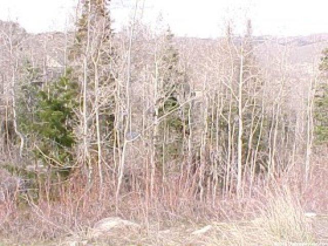 7558 Buckboard Dr #131, Park City, UT 84098 — photo 2