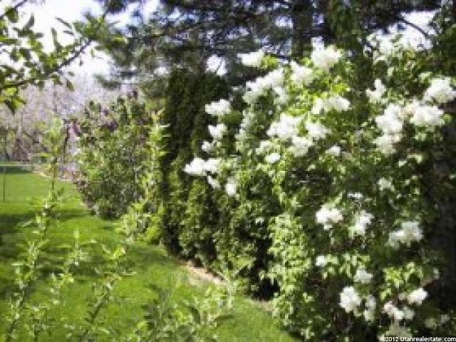 2864 E 775 N, Layton, UT 84040 — photo 7