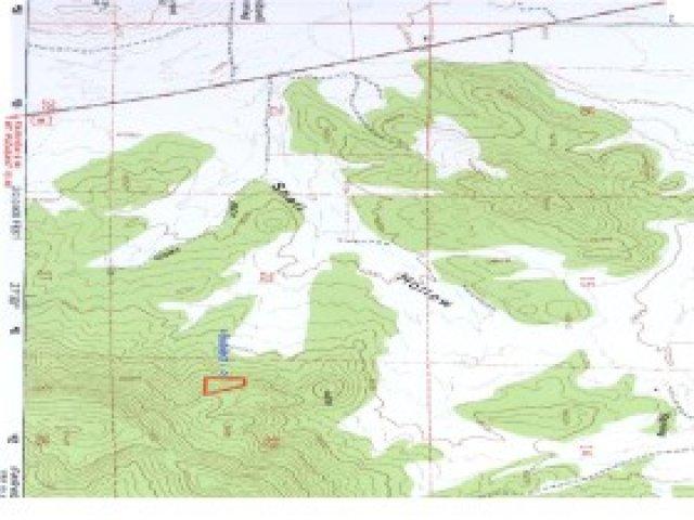 21 N Blackhawk #21, Fairview, UT 84629 — photo 3