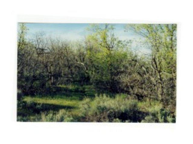 87 Oak Haven Dr #87, Midway, UT 84049 — photo 3