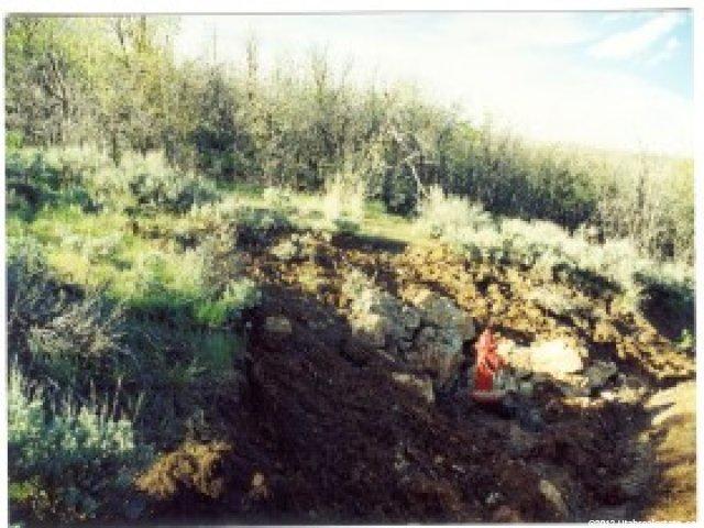 87 Oak Haven Dr #87, Midway, UT 84049 — photo 6