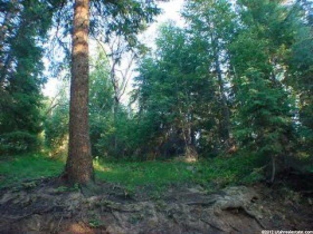 4900 N 13200 E, Mt Pleasant, UT 84647 — photo 3