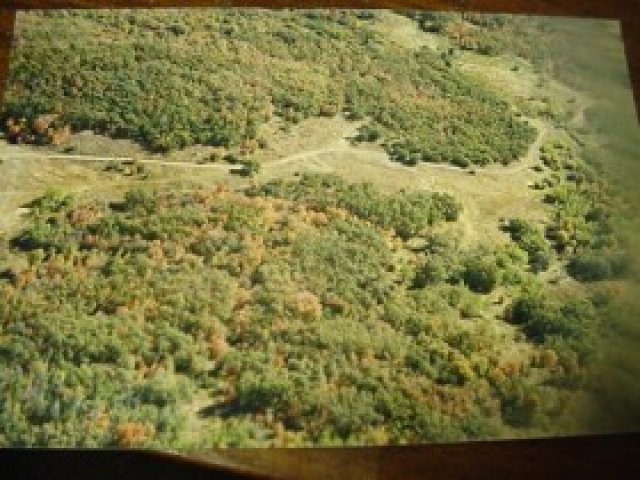 111 Big Sky Dr, Eden, UT 84310 — photo 3