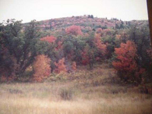 111 Big Sky Dr, Eden, UT 84310 — photo 4