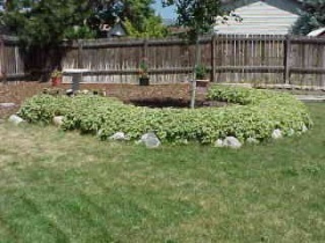 2172 N 950 W, Clinton, UT 84015 — photo 7