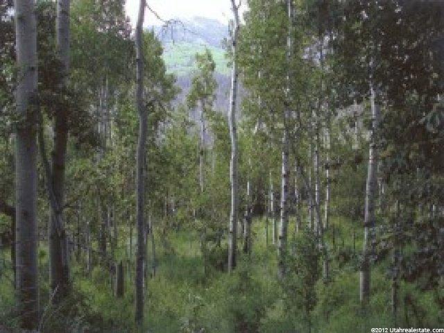 28 Escalante #R28, Oakley, UT 84055 — photo 2