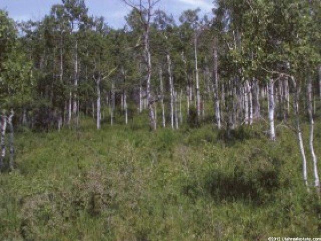 28 Escalante #R28, Oakley, UT 84055 — photo 3