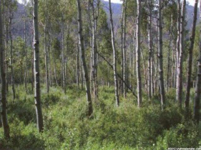 28 Escalante #R28, Oakley, UT 84055 — photo 4