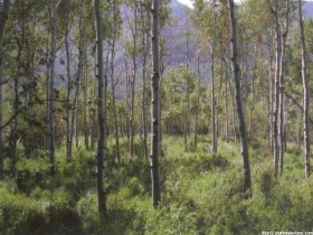28 Escalante #R28, Oakley, UT 84055 — photo 5