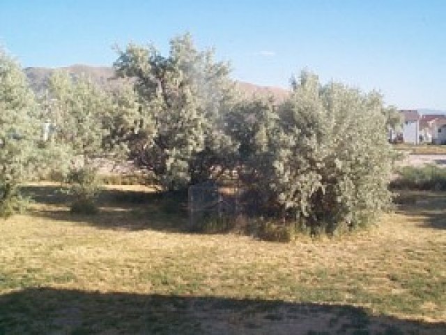 303 Redberry Rd, Draper, UT 84020 — photo 4
