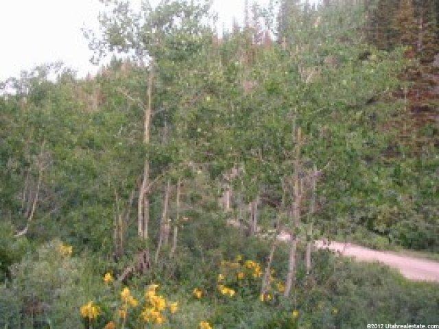 100 Alexander Canyon Rd #100, Wanship, UT 84017 — photo 2