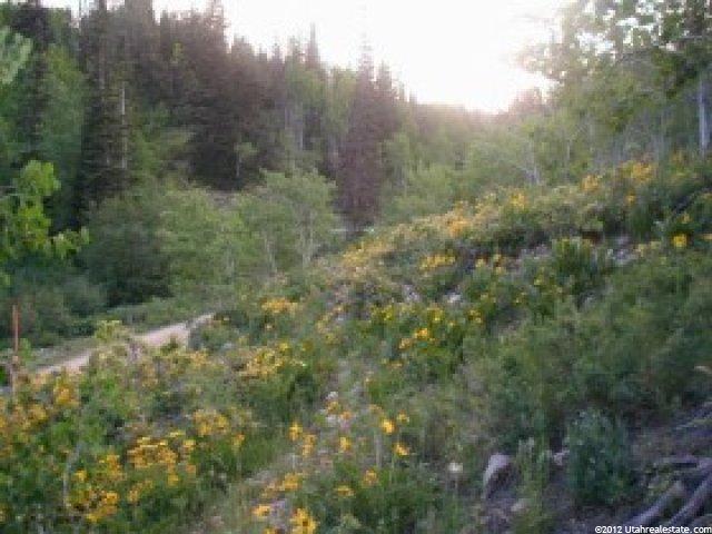 100 Alexander Canyon Rd #100, Wanship, UT 84017 — photo 3