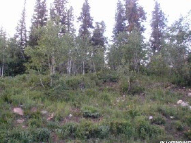 100 Alexander Canyon Rd #100, Wanship, UT 84017 — photo 5